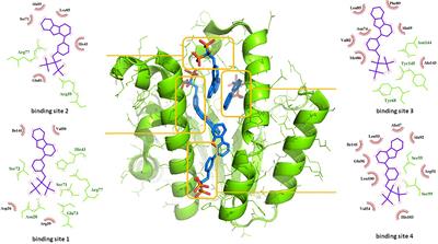 Anthranilic Acid Inhibitors of Undecaprenyl Pyrophosphate Synthase (UppS), an Essential Enzyme for Bacterial Cell Wall Biosynthesis